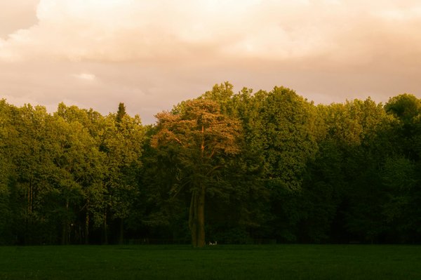 Comment améliorer la communication entre les professionnels de santé et les patients pour une meilleure prise en charge ?