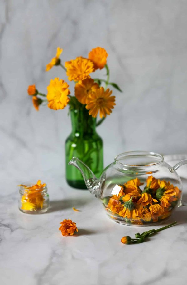 Comment les exercices de renforcement musculaire peuvent-ils prévenir les blessures chez les personnes âgées?