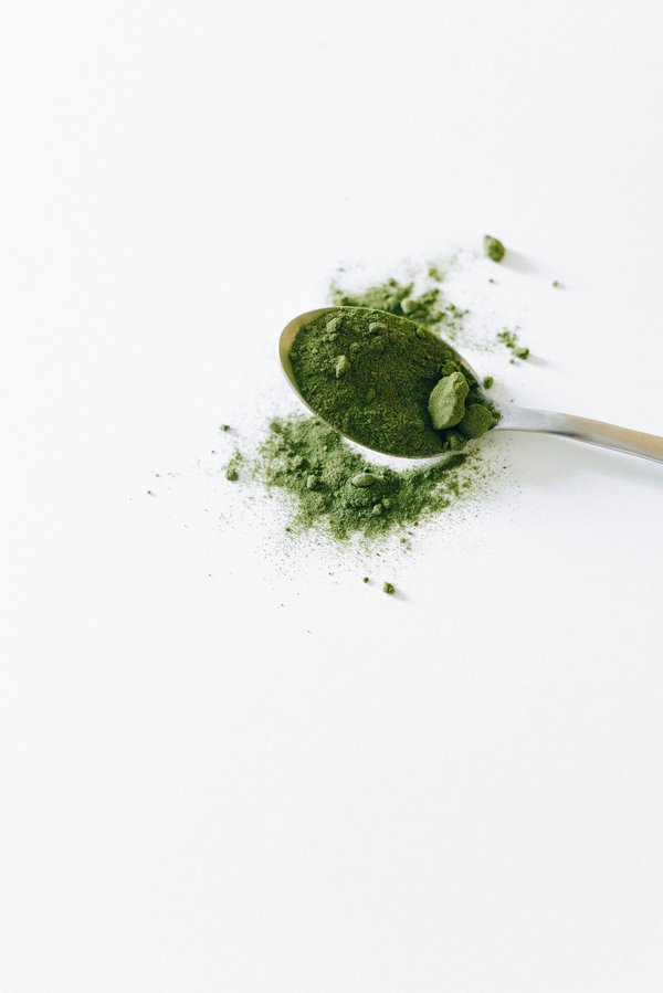 Matcha b2b : qualité premium pour vos besoins professionnels